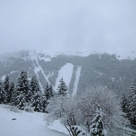 5p Résidence Sagittaire, Flaine Forêt, Proche Pistes Et Commerces - Fr-1-687-9 Appartement *